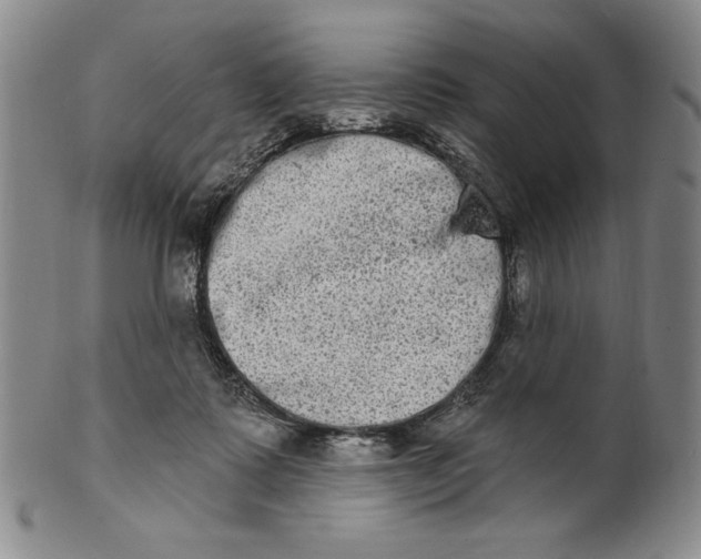 X0000101970315200808081557