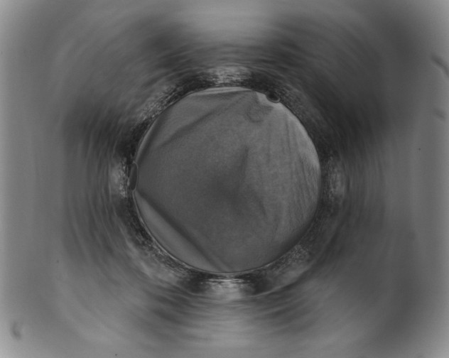 X0000101970316200808081557
