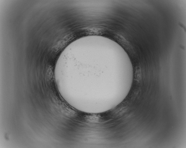 X0000101970318200808081557