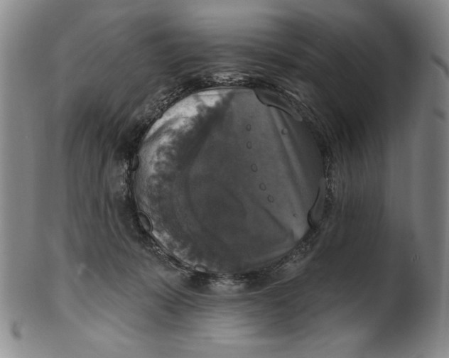X0000101970319200808081557
