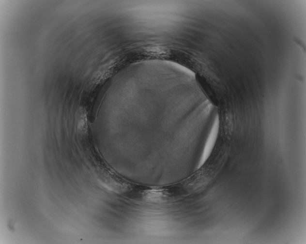 X0000101970320200808081557