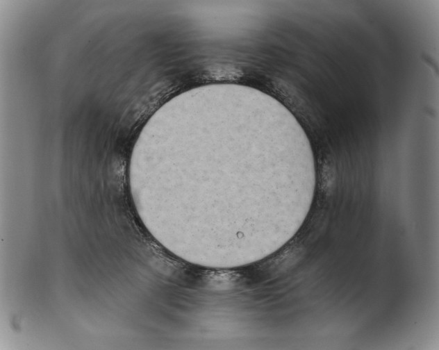 X0000101970321200808081557