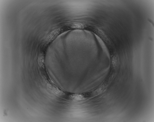 X0000101970322200808081557