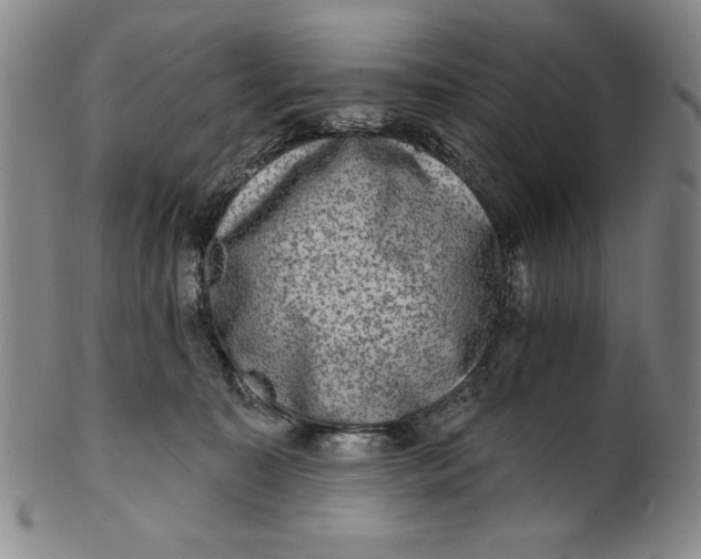 X0000101970323200808081557