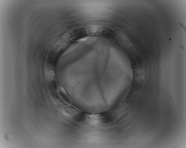 X0000101970324200808081557
