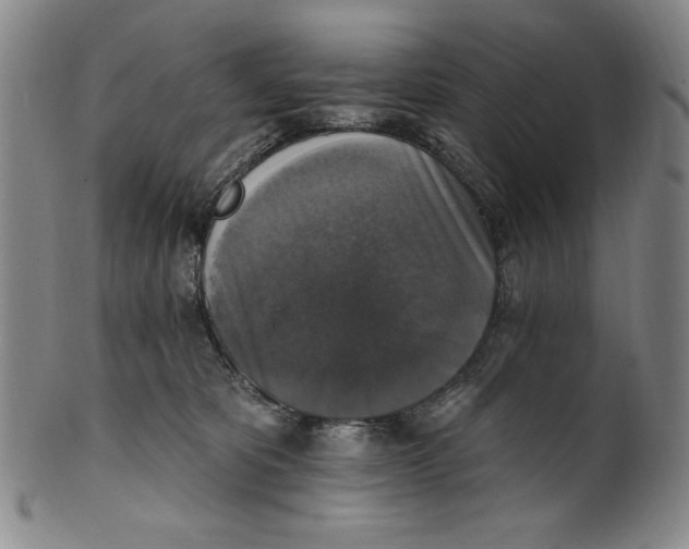 X0000101970325200808081557