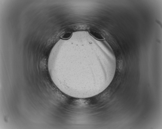 X0000101970326200808081557