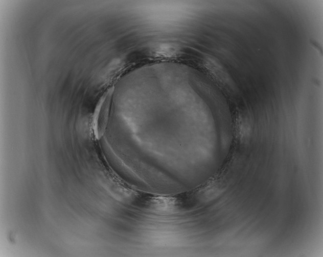 X0000101970328200808081557