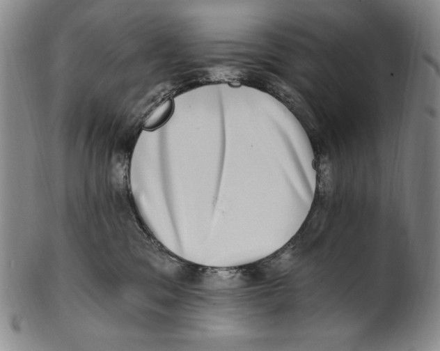 X0000101970329200808081557