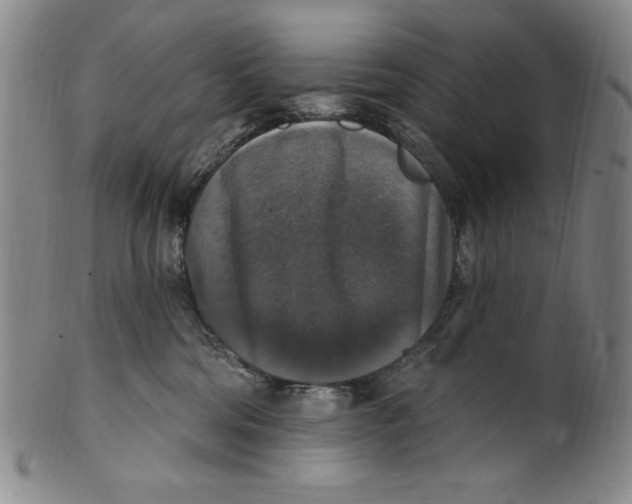 X0000101970330200808081557