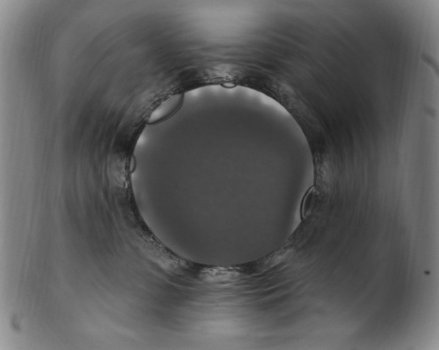 X0000101970331200808081557
