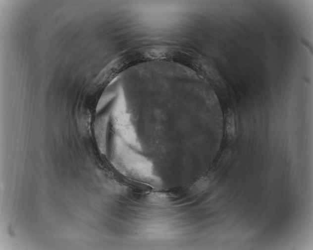 X0000101970332200808081556