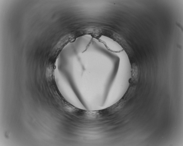 X0000101970333200808081556