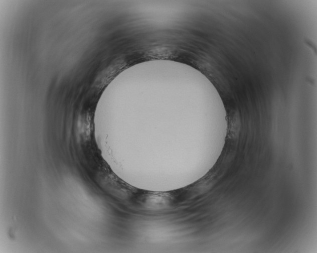 X0000101970334200808081556