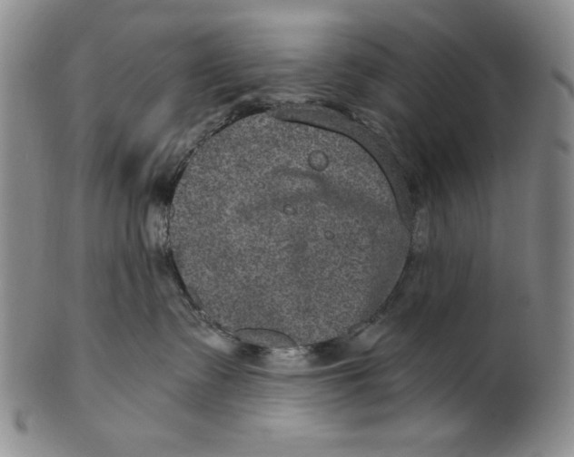 X0000101970335200808081556
