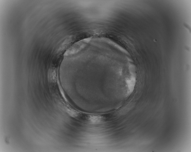 X0000101970336200808081556
