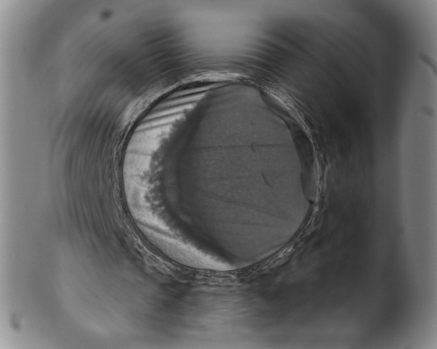 X0000101970337200808081556