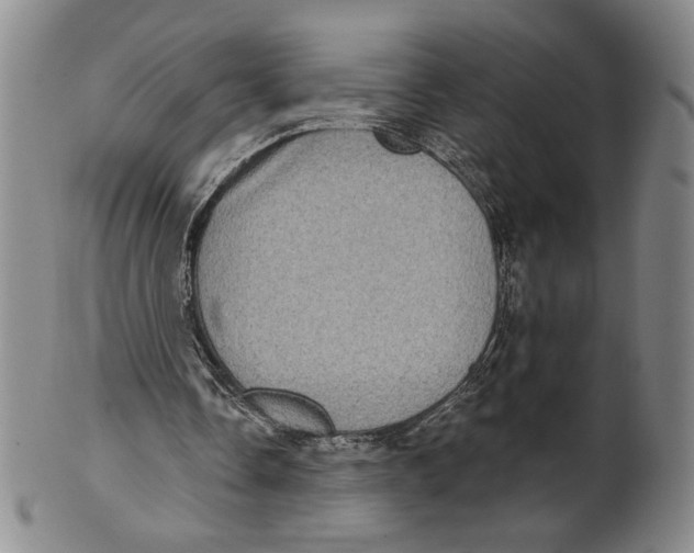X0000101970338200808081556