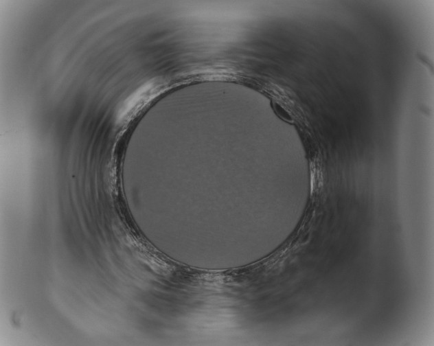 X0000101970339200808081556