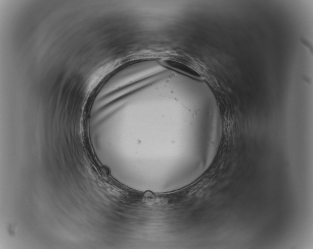 X0000101970340200808081556