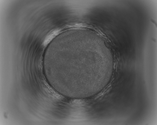 X0000101970341200808081556