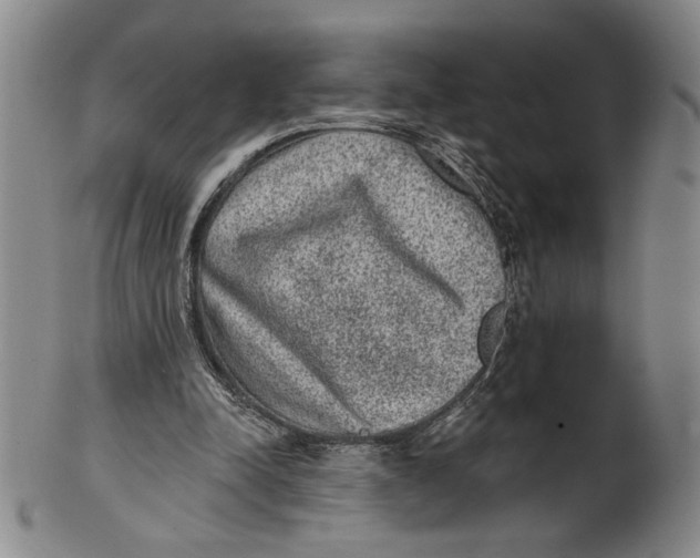 X0000101970342200808081556