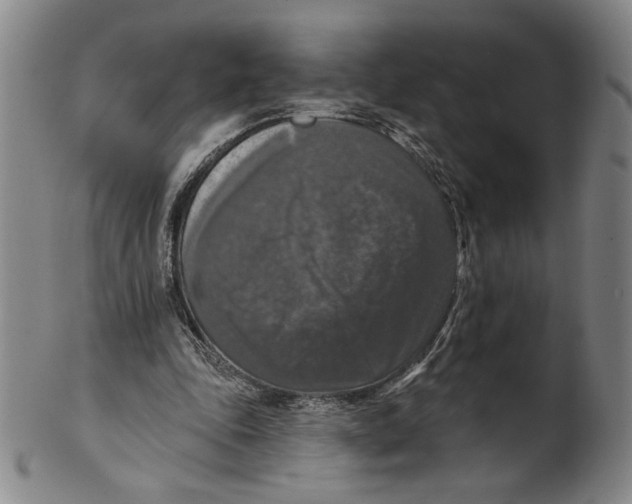 X0000101970343200808081556