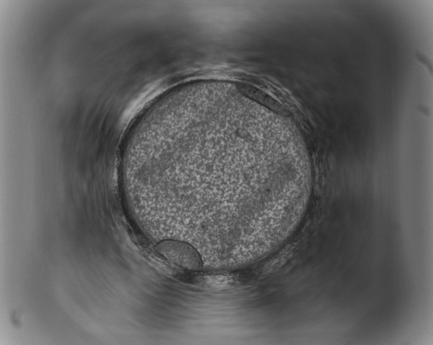 X0000101970344200808081556