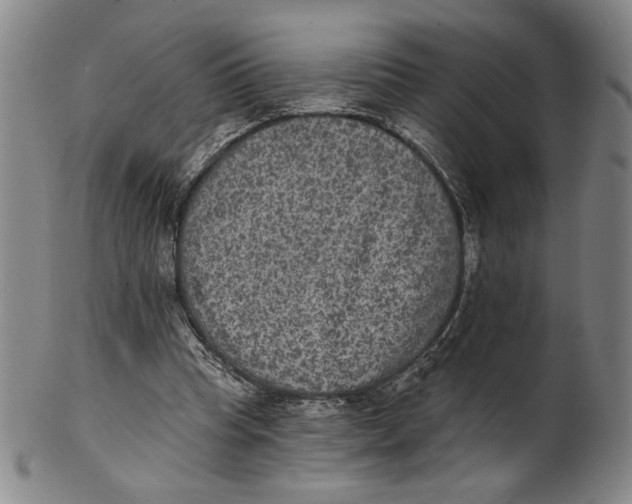X0000101970345200808081556