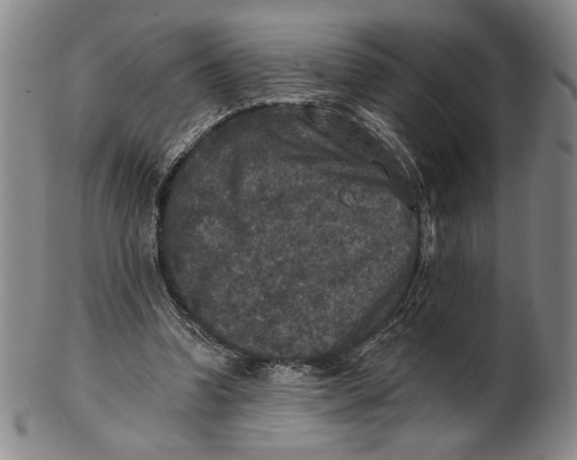 X0000101970346200808081556