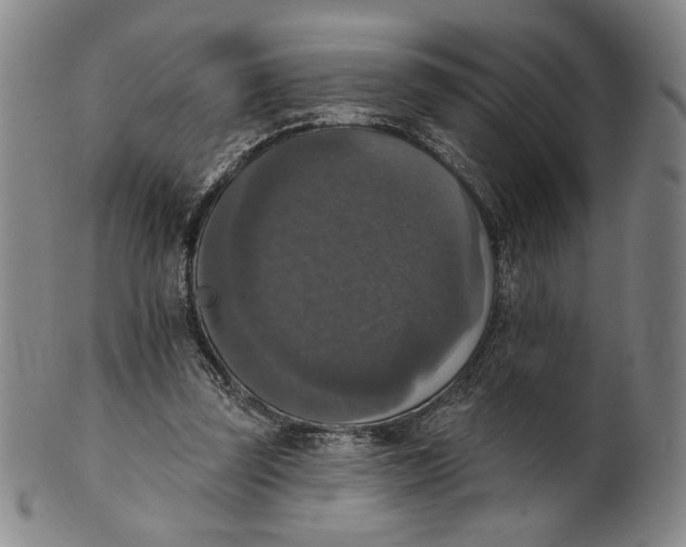 X0000101970347200808081556
