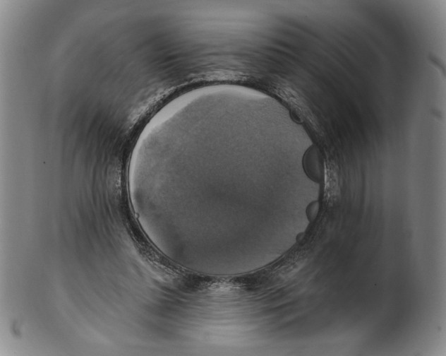 X0000101970348200808081556