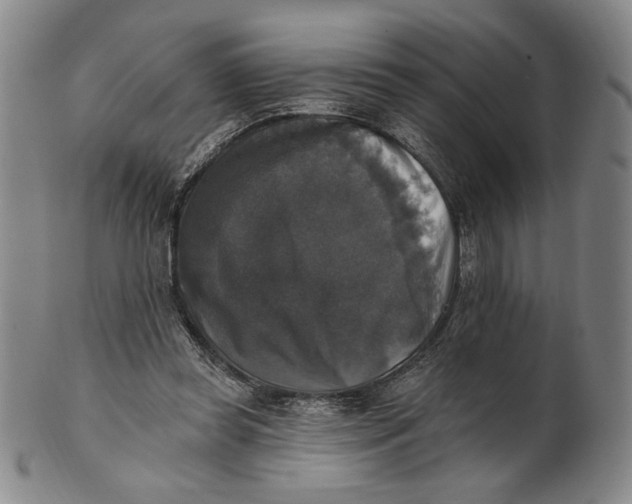 X0000101970349200808081556
