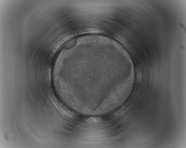 X0000101970350200808081556