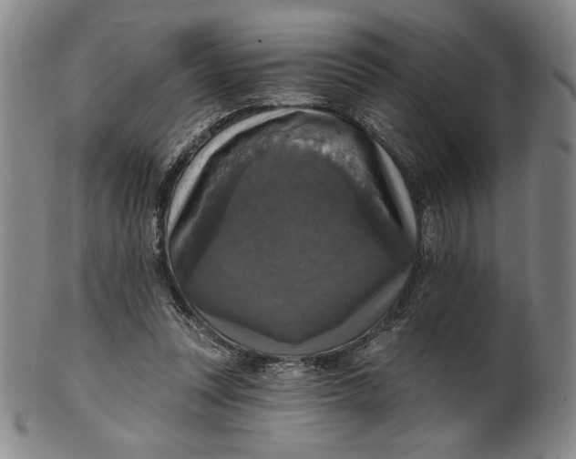 X0000101970351200808081556