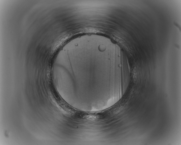 X0000101970352200808081556