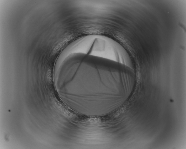 X0000101970353200808081556