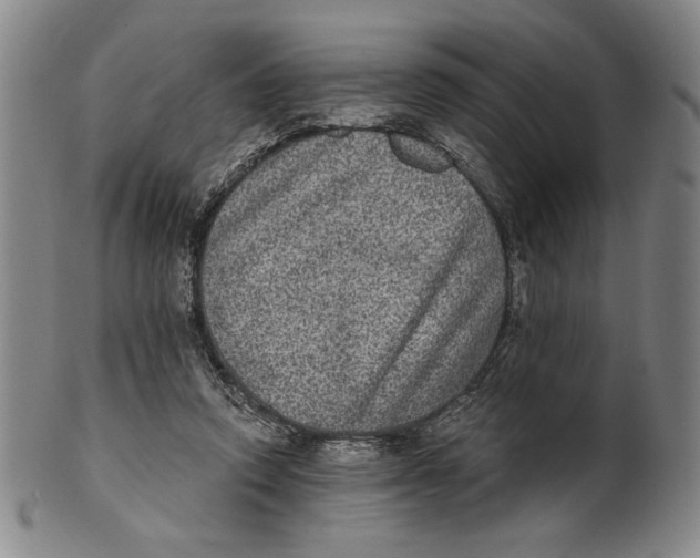 X0000101970354200808081556