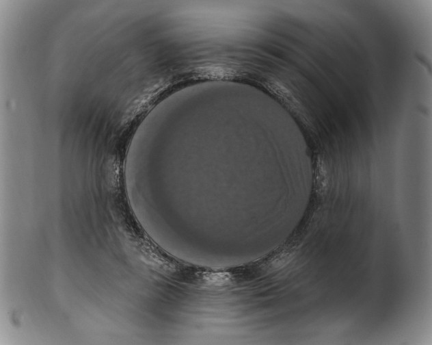 X0000101970355200808081556