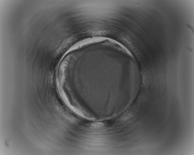 X0000101970357200808081556