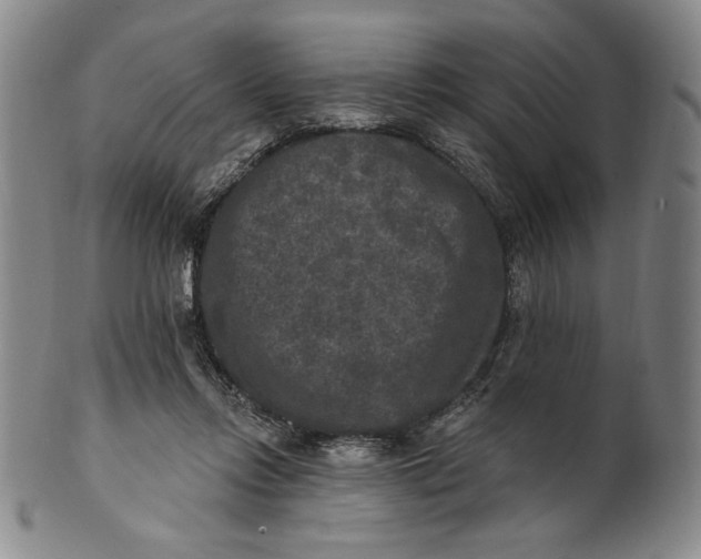 X0000101970358200808081556