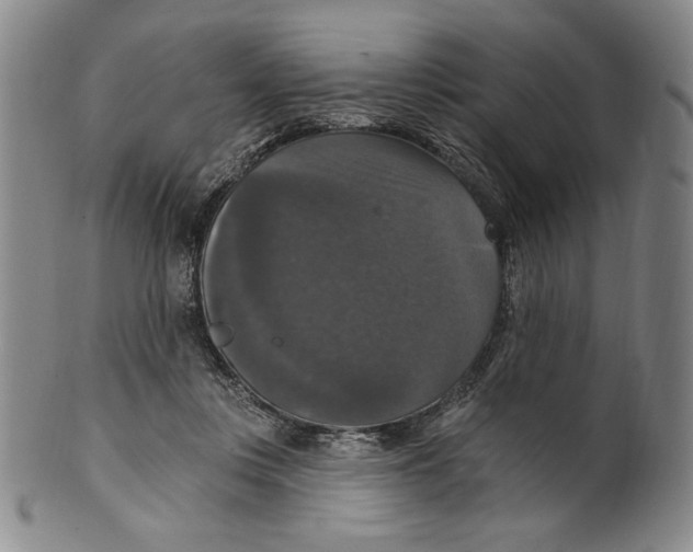 X0000101970359200808081556