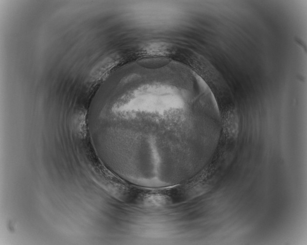 X0000101970360200808081556