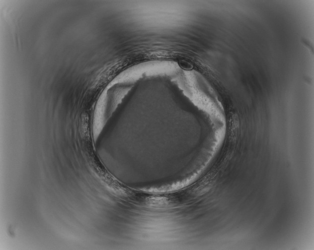 X0000101970361200808081556