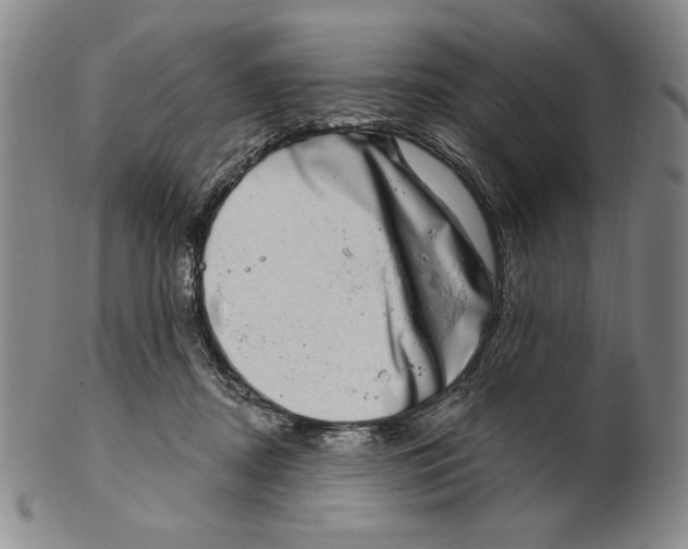 X0000101970362200808081556