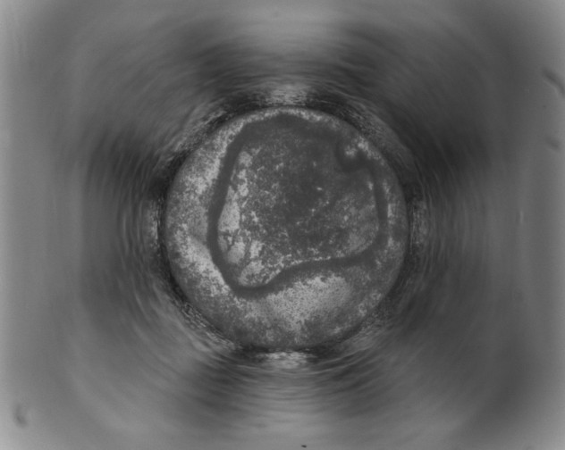 X0000101970363200808081556
