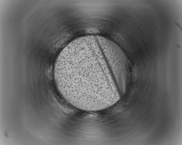 X0000101970364200808081556