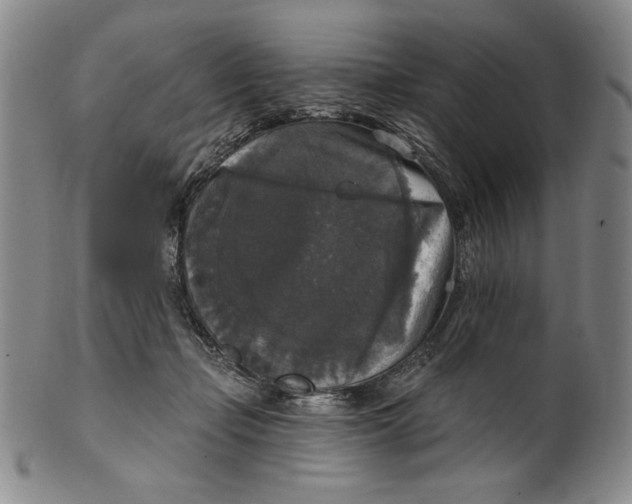 X0000101970365200808081556