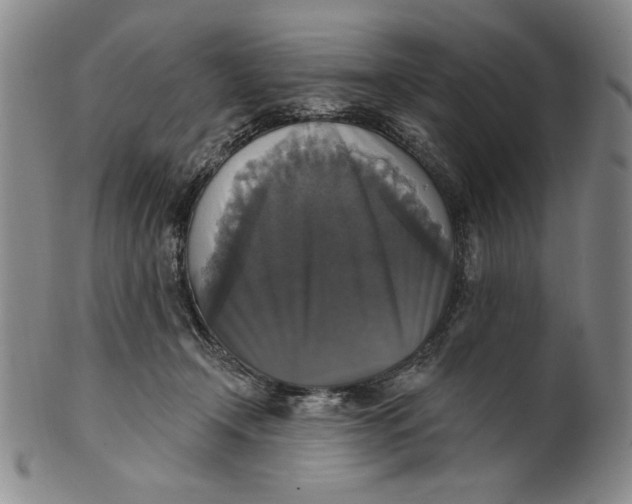 X0000101970366200808081556