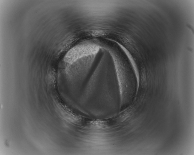 X0000101970367200808081556